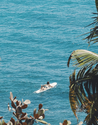 Diving into crystal clear water