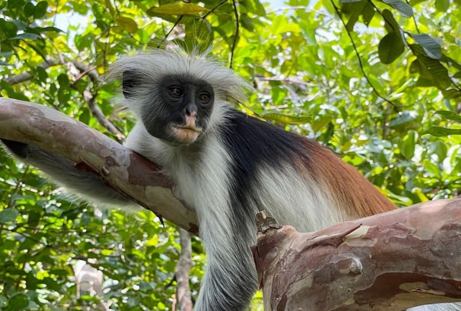 Spice & Culture Experience 2