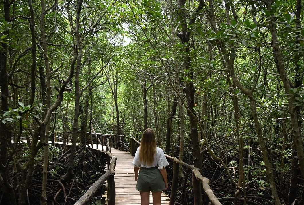 Nature & Hidden Gems 1