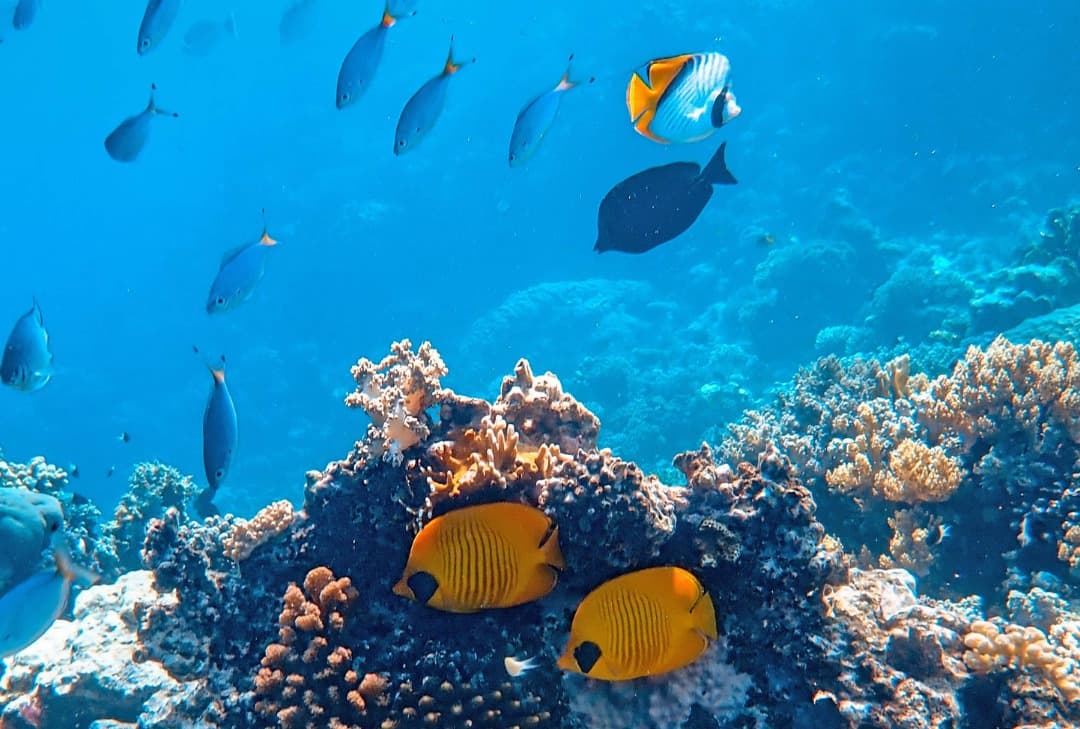 Taba Yacht & History Experience 2