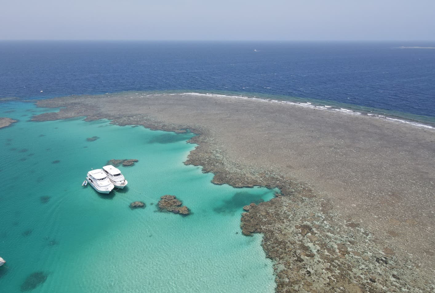 Dolphin Swimming Experience 2