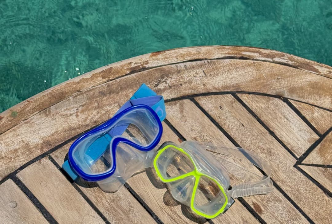 Swim alongside playful dolphins in their natural habitat 2