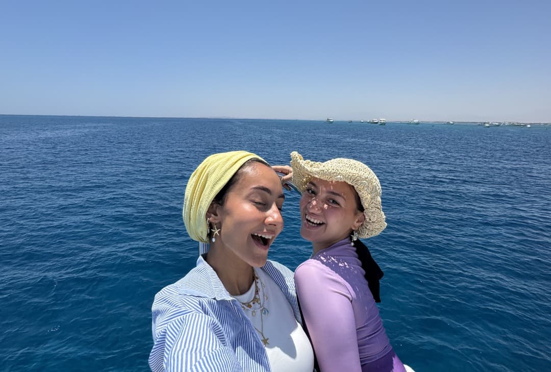 Swim alongside playful dolphins in their natural habitat 3