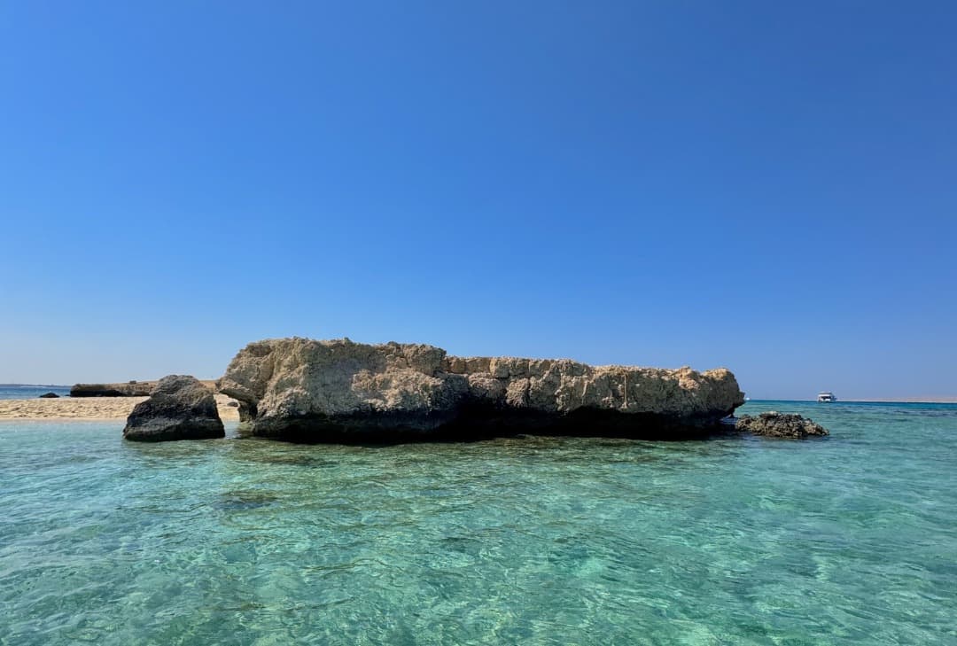 Swim alongside playful dolphins in their natural habitat 6