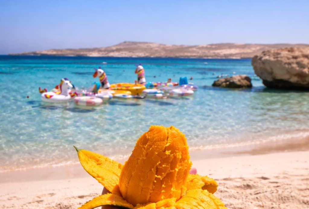 A peaceful island escape with picture-perfect views 9