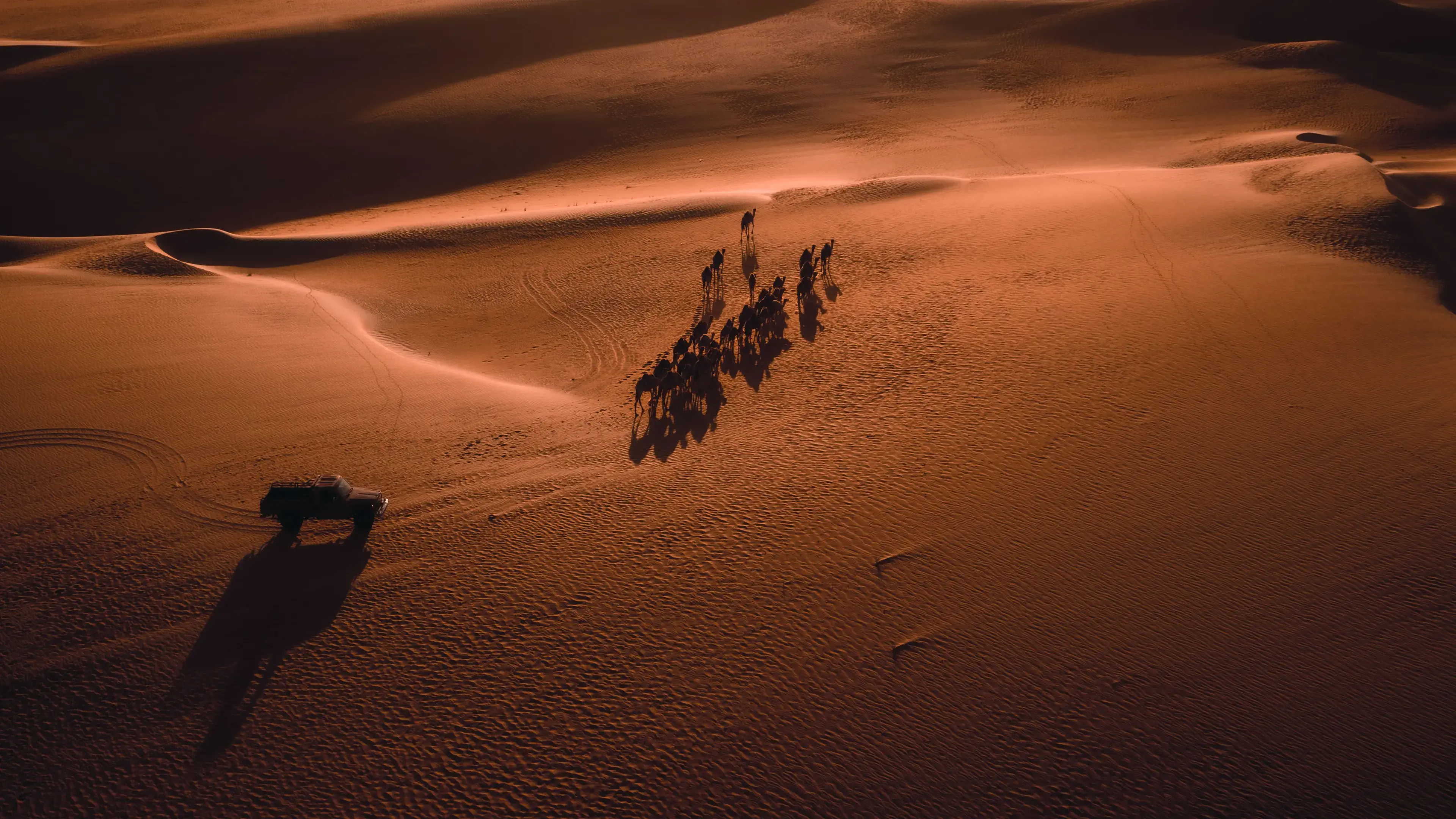 Desert caravan at sunset